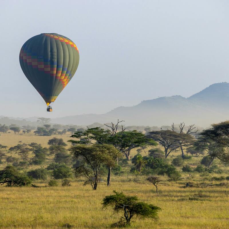 Hot air balloon Safari