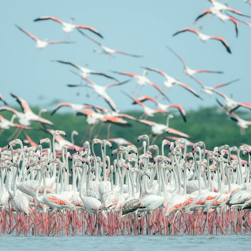 Lake Nakuru