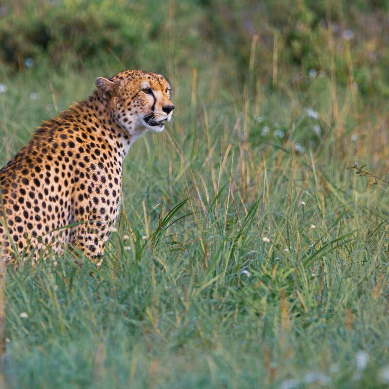 Tsavo National Reserve