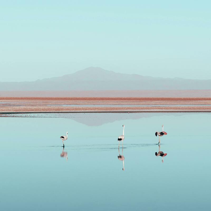 Lake Naivasha
